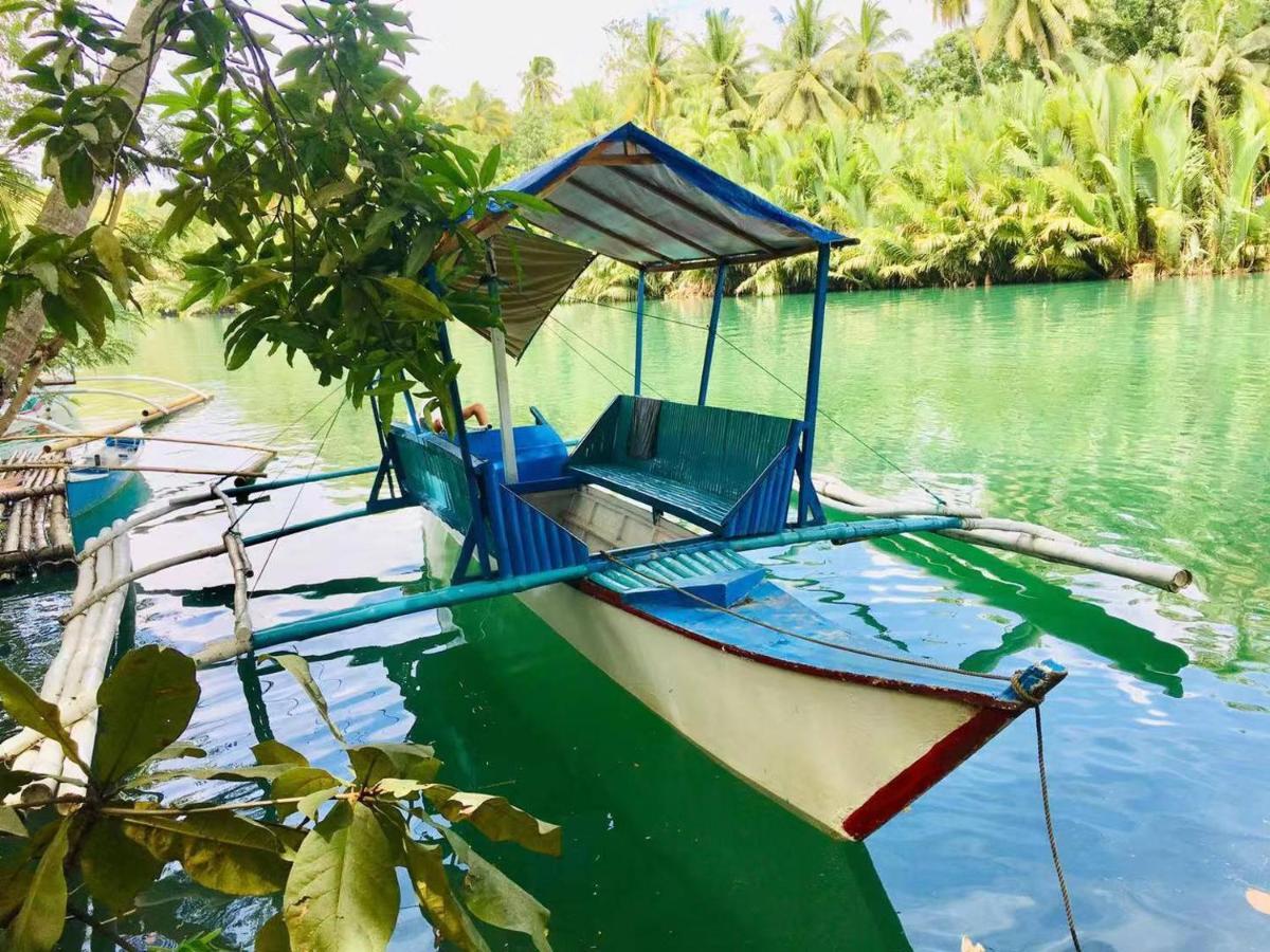 Loboc Cool River Resort Extérieur photo
